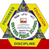 School 6