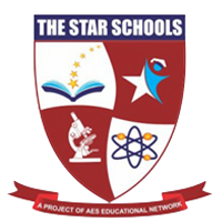 School 6